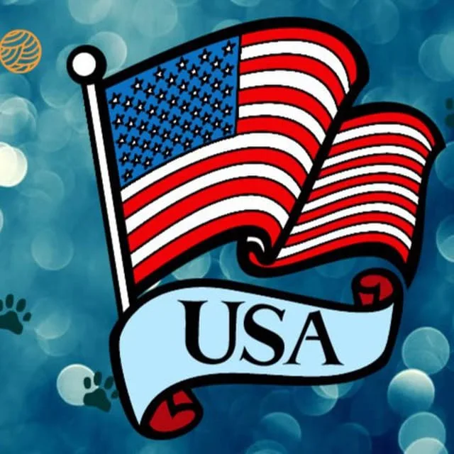 Imagem do grupo Brasileiros nos Estados Unidos