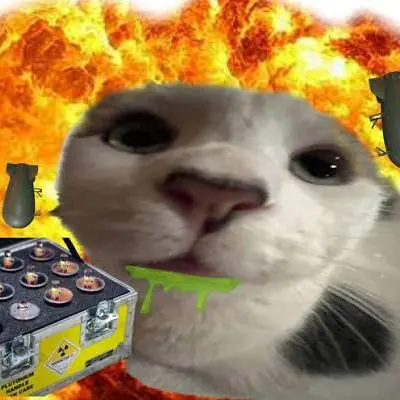 Imagem do grupo Web